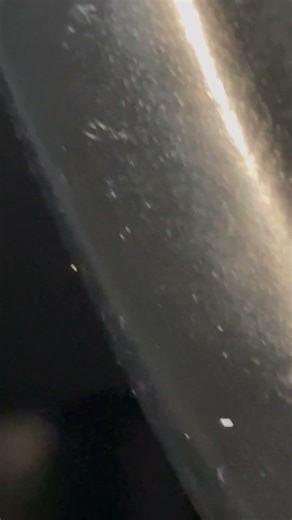 First 48 detective on scene Florida city ⚡️⚡️⚡️