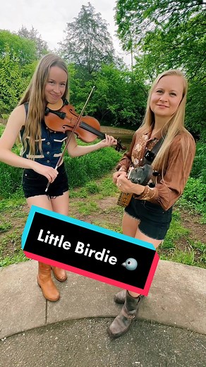 Little Birdie featuring Bronwyn Keith-Hynes on Fiddle