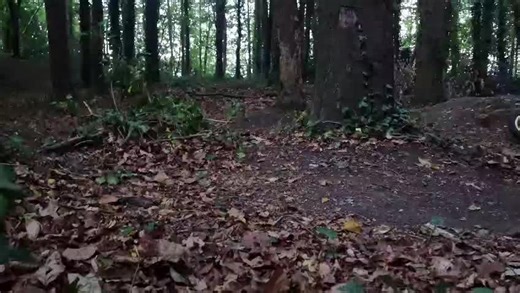 mx12 (@ashtonharris52)’s videos with on & on - piri & tommy