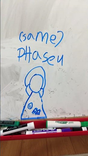 Mr tree phases 1 - 7