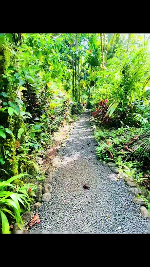 Explore the Beauty of Kepirohi Waterfall in Pohnpei