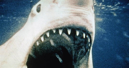50 years later, the music of ‘Jaws’ still delights and frightens