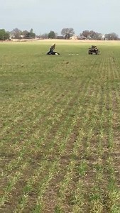 98K views · 645 reactions | Animal husbandry is an important part of...