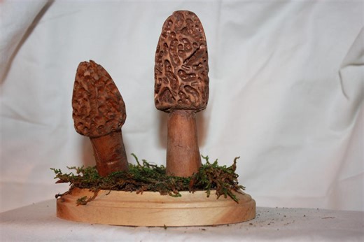 Morrell Mushroom Carving: A Unique and Detailed Hand-carved Mushroom Sculpture - Etsy