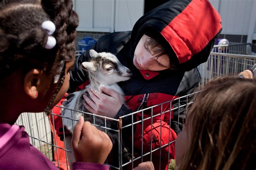 What you’ll find at this year’s St. Clair County Earth Fair