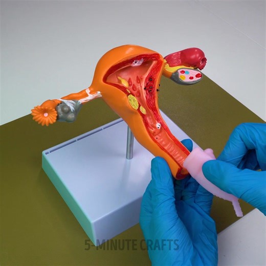 34M views · 10K reactions | Red flag in intimate hygiene products for women!  Take care of your health, choose eco-friendly products  | 5-Minute Crafts | Facebook