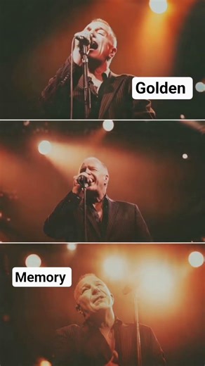 Phill Collins another day in paradise #music #viralvideo #viralshorts #goldenmemorytunes
