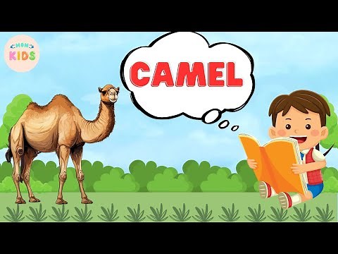 Camel Facts For Kids 🐪 Learn All About Camels | MON Kids