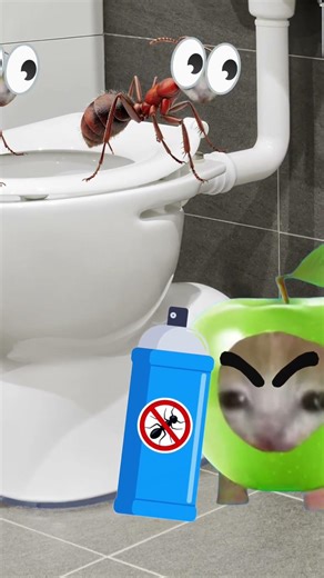 When Ant Cats take over your home Part 2