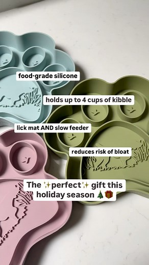 3K views | It’s timeeee! The perfect Christmas gift for the bird dog lover in your family  Link in my bio to snag your 2-in-1 bird dog slow feeder today! #birddog #slowfeeder #christmasgift #weimaraner #vizsla #gsp | Bird Dog Gang | Facebook