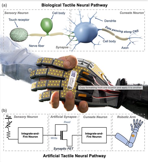 Artificial skin capable of feeling pain could lead to new generation of touch-sensitive robots