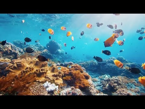 How to Sell Beats Online 2025 (Full Producer Masterclass)