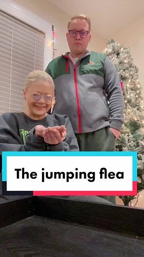 Funny Christmas Tree Pranks with The Jumping Flea