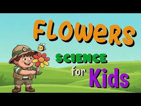 Flowers | Science for Kids