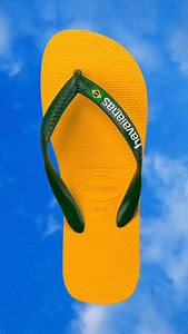 Flip Flop Shops Curacao on Reels