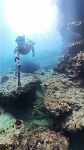 Free Dive Snorkeling in Baja Mexico