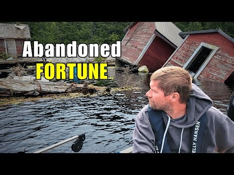 We Found THOUSANDS in Logging Gear ABANDONED