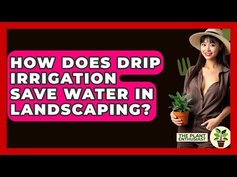 How Does Drip Irrigation Save Water In Landscaping? - The Plant Enthusiast