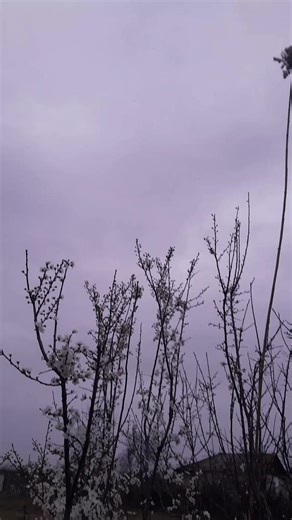 delimin delisiyem 😇 (@deniz_7962)’s videos with original sound - Şirinbala_Şamaxılı✅️