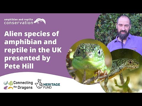 Alien species of amphibian and reptile in the UK presented by Pete Hill
