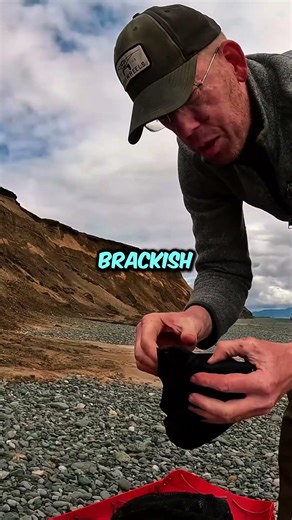 Man Finds an Extremely Rare Dead Walrus in Arctic Isolation