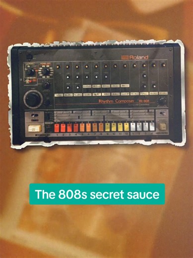 Exploring the Impact of the Roland TR-808