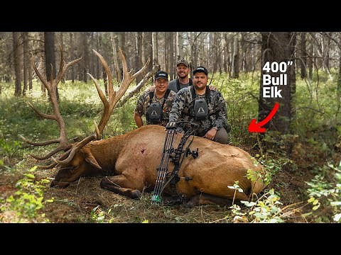 High Fence Elk Hunting in Idaho