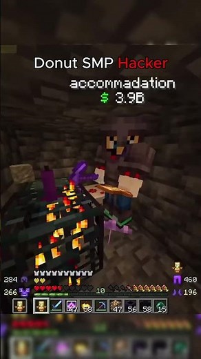 Donut SMP Hacker..