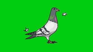 clip-26306864-animals-on-green-screen