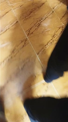 ٨ مارس ٢٠٢٦