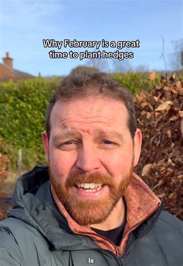 Why February is the Best Month for Planting Hedges