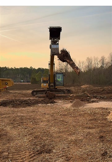 #mulch #grinding #logging #landclearing