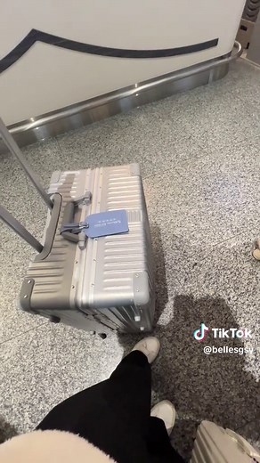 Rimowa Dupe: Monos Aluminum Luggage Review