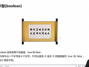 024_布尔型boolean#每天学习一点点 #编程 #程序员