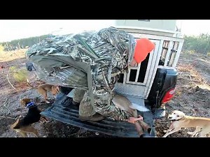 Live Action Big Buck Chase] Two Does Down! [Deer Doggin 2021-2022 Deer Season
