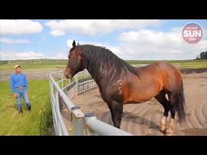 Grated Coconut, Born To Buck