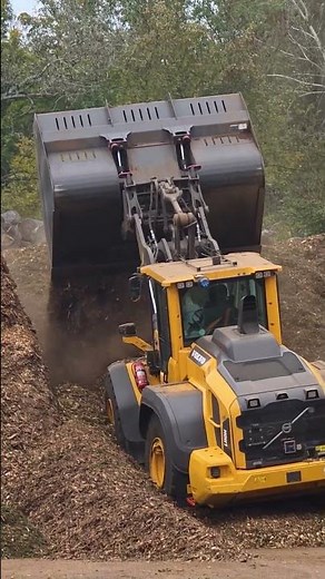 Das Biomasseheizkraftwerk Krems - groß und grau und richtig heiß! #evn #shorts #biomasse