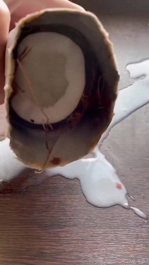 Coconut Sugar Unboxing and Dissolution Experiment