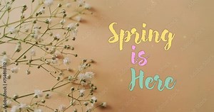 Animation of spring is here text and stars over white flowers