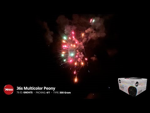 GM437S 36s Multicolor Peony - 500 Gram Firework - '76 Show Series