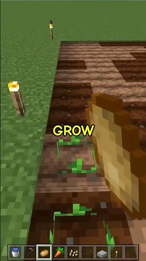 Minecraft Survival Tips - How to Grow Crops Faster and Easier