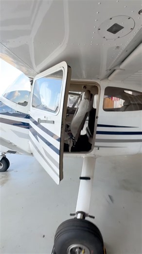 Walking around a C182 #aviation