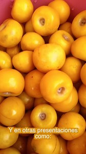 Conoce el nance o nanche. Es un fruto color amarillo que se consume cuando está maduro, es de sabor agridulce y tiene un aroma muy fuerte. | Aquí Bajan