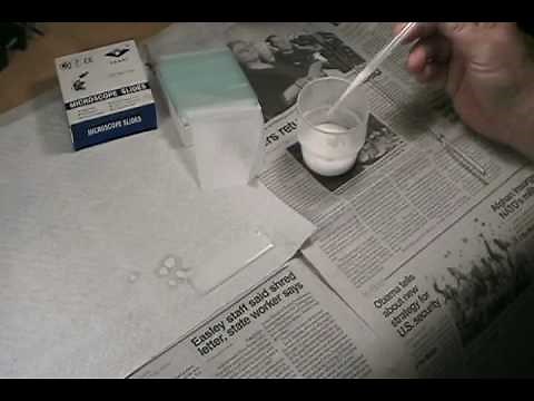 The Home Scientist 024 - Making thin-layer chromatography (TLC) plates