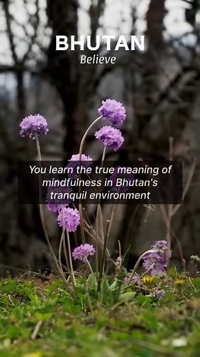 1.4M views · 10K reactions | Discover the joy of simplicity in Bhutan and enjoy the tranquil rhythm of daily life. Wander through the beautiful monasteries, immerse yourself in the warmth of Bhutanese hospitality, and let the breathtaking scenery paint memories that last a lifetime.  simas_avri (IG) #Bhutanbelieve #Bhutan #BhutanTourism #VisitBhutan #TourismBhutan #BhutanDiaries #BhutanTravel #Believe | Department of Tourism, Bhutan | Facebook