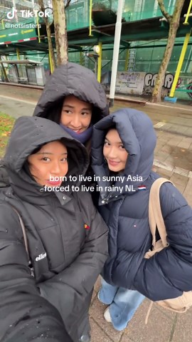 Navigating Life in Rainy Netherlands vs. Sunny Asia