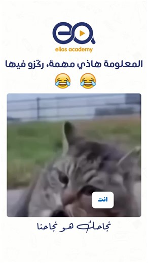 😂😂 #memes #education