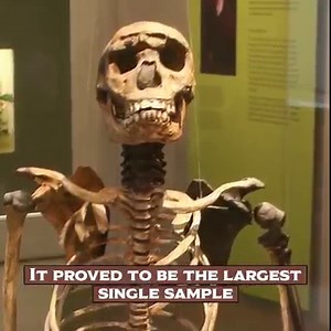 178K views · 2.7K reactions | What Secrets Can We Uncover From ANCIENT Mysteries | Origins Explained | Facebook