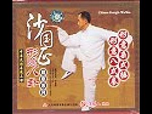 Hsing-I 8 Forms & Mixed Forms Hammer Fist