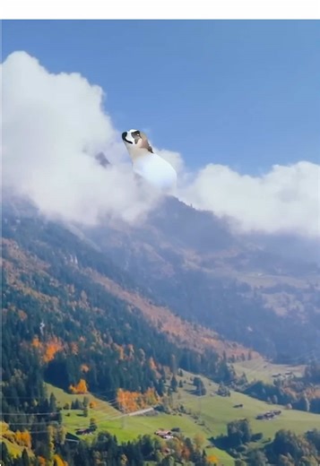 Day 201! The Don River in Canada has overcome intense restoration efforts, so much so that the once declared “biologically dead” body of water is now home to 20 different species of fish! #dancingdogmeme #fyp #hopecore